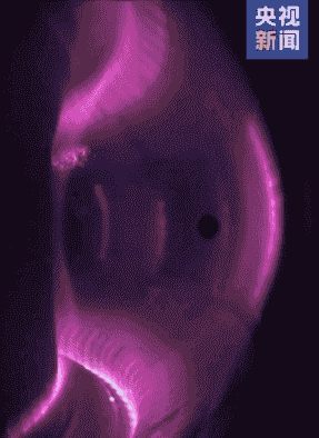 放大招摆脱进口后疯提速国产合金吨级量产PG麻将胡了免费模拟器打脸欧美!中科院(图12) 放大招摆脱进口后疯提速国产合金吨级量产PG麻将胡了免费模拟器打脸欧美!中科院(图12)